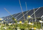 Solar Energy Surpasses All Other Sources in Historic Global Milestone