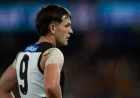 Zak Butters Afl Tribunal: Appeal upheld as umpire abuse finding is quashed after tribunal conduct row