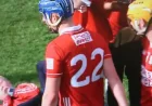 Darragh Fitzgibbon Search Boy: A small moment after Thurles, with a bigger message