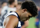 Tyson Stengle and the quiet uncertainty shaping Geelong’s week