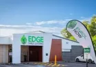 Edge Early Learning Munno Para West Faces 90-Day Closure After Seven Safety Concerns