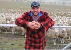Weaning gains of 20pc: How one Tasmanian farmer changed lamb results with Gippsland genetics