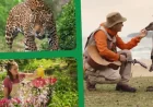 Jour De La Terre 2026 as 2026 approaches: what the family angle reveals