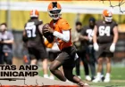 Deshaun Watson Gets First-Minicamp Look as Browns Open QB Competition