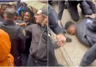 Chi Osse Arrested at Brooklyn Eviction Protest: 3 Key Details Behind the NYPD Clash