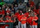 UGA, Georgia Tech Baseball Coaches Debate Neutral Site Game Value