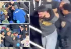 Mets, Twins Fans Clash in Wild Brawl Amid 12-Game Losing Streak