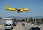Spirit Airlines Approaches Trump Administration for Bailout Agreement