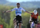 Demi Vollering Wins La Flèche Wallonne Femmes with Powerful Mur de Huy Finish