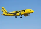 Trump Administration, Spirit Airlines in Advanced Bailout Talks, Sources Reveal