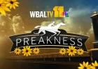 Preakness and the Human Stakes of a Billion-Dollar Shift