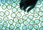 Condom Prices Increase as Iran War Disrupts Global Supply Chains