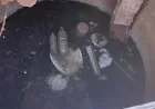 Northern Territory Long-drop Toilet Collapse: What This Outback Incident Signals