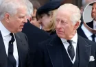 Prince William Andrew King Charles Meeting: 5 Signs of a Royal Standoff That Could Not Be More Delicate