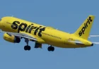 White House Considers Defense Production Act for Spirit Airlines Acquisition