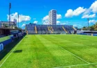 Remo X Cruzeiro: where to watch live, time and lineups