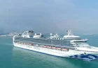 Princess Cruises: 5 Bodies Recovered After Ship Spots Orange Object at Sea