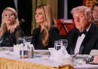 Diner Des Correspondants After the Shock of Gunfire