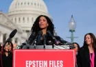 Epstein Files Audit Draws Muted Praise as US Watchdog Steps In