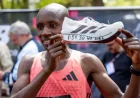 Adidas Pro Evo 3 and the Human Cost of Speed