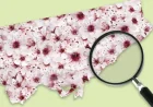 Cherry Blossom Toronto: Peak Bloom Watch Tightens as Trees Move Closer to Opening