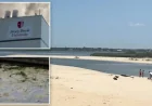 Bacteria in Long Island waters expose a hidden climate and pollution crisis