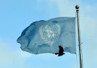 Organisation Des Nations Unies and the human cost of weakening a fragile system