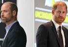 Prince William May Revoke Archie and Lilibet’s Royal Titles