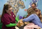 Private Equity Transforms Asheville Vet Clinics amid Practitioner Concerns