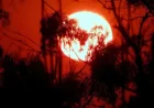 Heat Wave Pushes India’s Power Demand to a Record and Exposes the Evening Strain