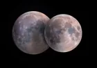 Flower Moon Set to Rise This Week as a Micromoon