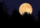 Full Moon in May Brings a Quiet Skywatching Moment for Spring