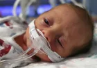 Bill Marler Cites 48 Infants in Fda Infant Formula Safety Results