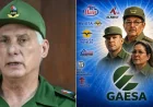Raúl Castro grandson opened 2026 Havana talks with U.S. officials