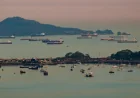 US and Latin American allies back Panama over Panama Canal terminals