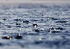 Cleveland Weather Brings 0.25 to 0.75 Inches by Wednesday