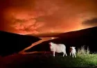 Firefighters enter fourth day battling Elan Valley wildfires