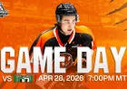 Jordan Switzer Sparks Medicine Hat Tigers With 30-Save 5-0 Win