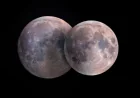 Fred Espenak Lists May 1 Flower Moon Full Moon as Micromoon