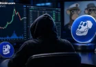 Anonymous Wallet Turns $174,000 into $2.45M in Apecoin Trade — Non Fungible Tokens