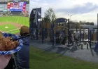 Brandon Woodruff Headlines Brewers' 13-2 Win Over Diamondbacks