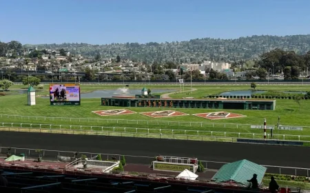 Golden Gate Fields to Transform Into a Public Park Soon