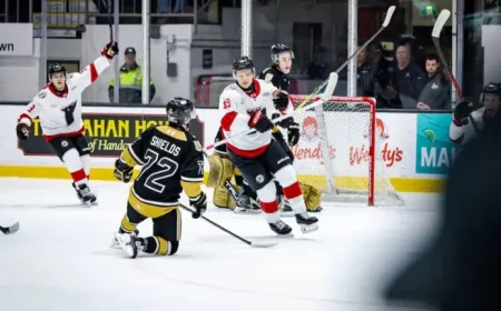 Remparts De Québec: Three Home Games, One Golden Chance as Ryabkin Will Miss Game 3