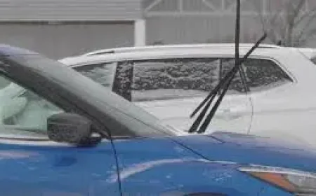 Cbc Pei: Storm Warning for New Brunswick as Tuesday Night Weather Threatens Travel