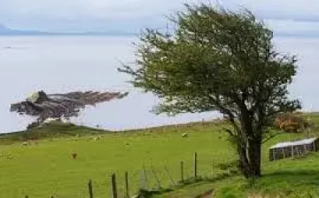 Ireland Easter Weekend Stormy Weather: Wet, Windy Conditions and Coastal Wave Risks