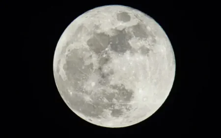 Full Moon Pink Moon: April 1 Peak at 9:11 p.m. ET and What It Actually Means