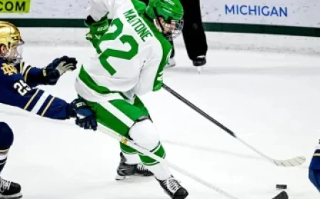 Basketball Team’s Sale Raises Questions: Who Owns Its History?