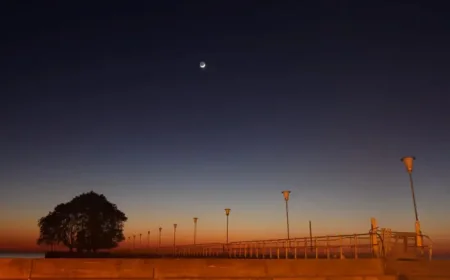 Full Moon April 2026: How and when to see April’s full Pink Moon