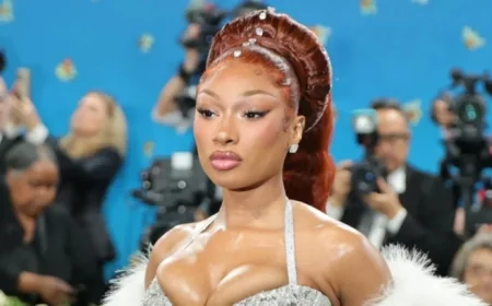 Megan Thee Stallion Recovers After Exhaustion Hospitalization