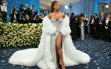 Megan Thee Stallion Gets Ill at Broadway Performance